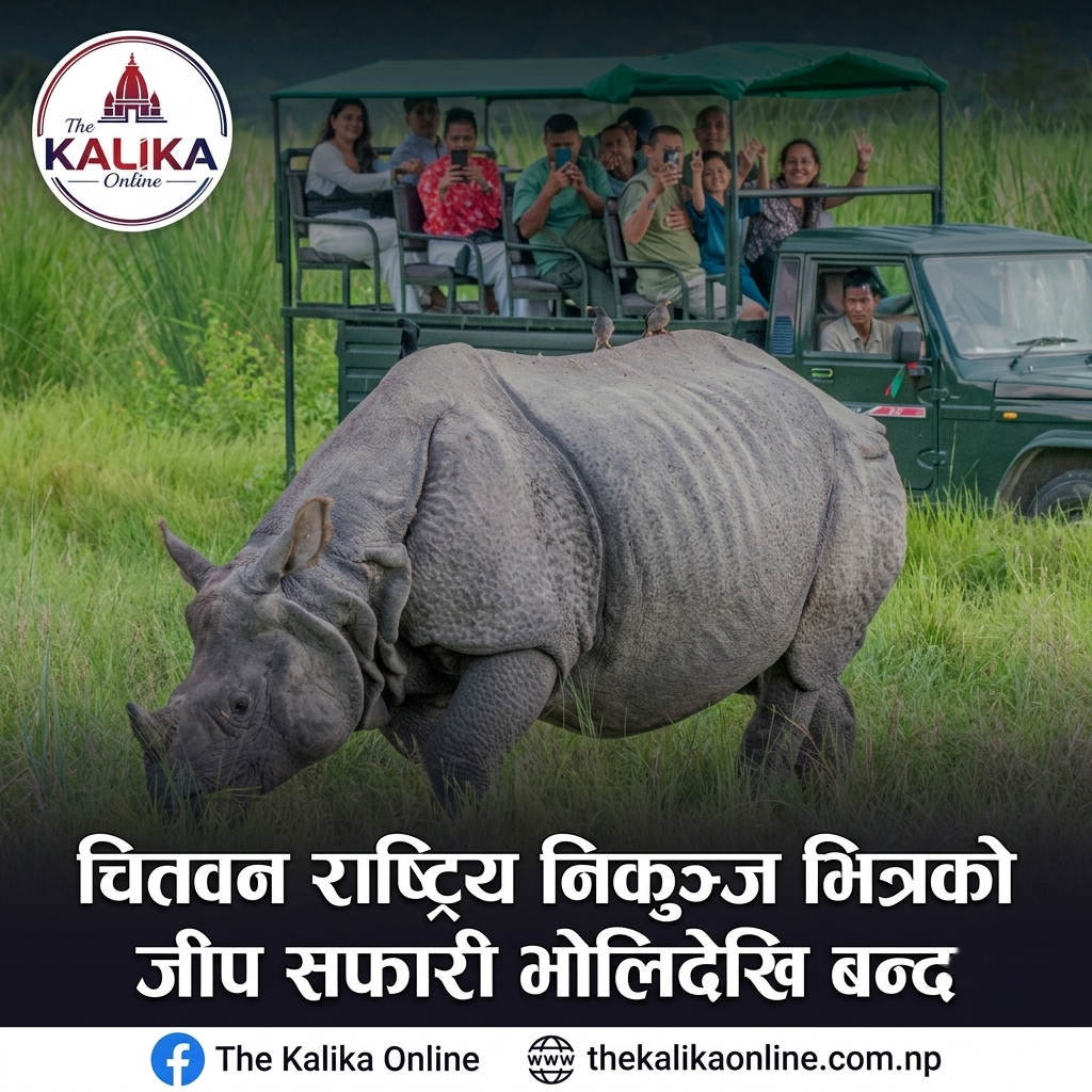 चितवन राष्ट्रिय निकुञ्ज भित्रको जीप सफारी भोलिदेखि बन्द