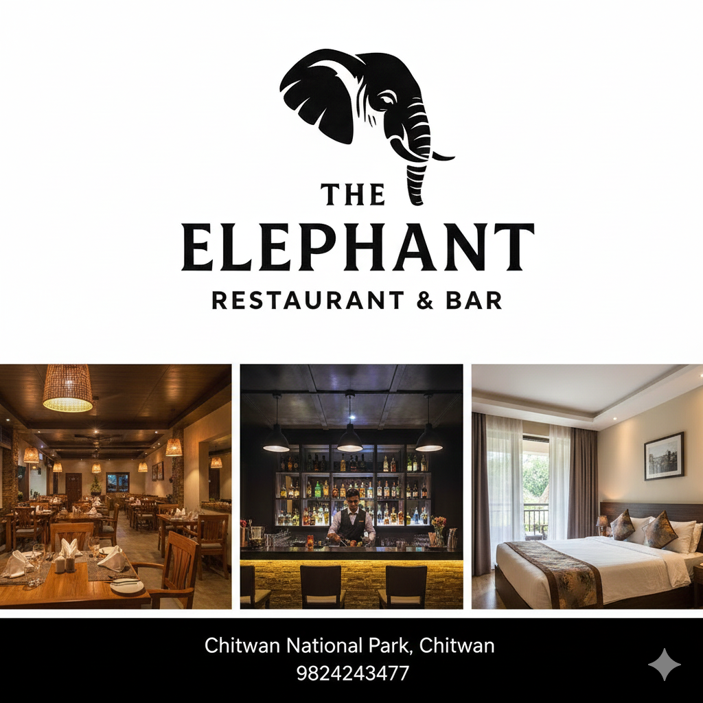 the elephant view 